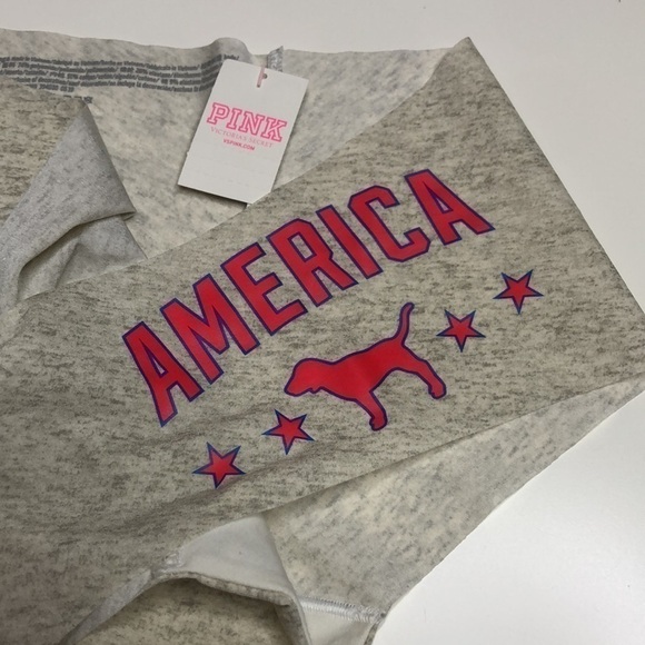 NWT PINK CHEEKSTER PANTIES SIZE LARGE - Picture 2 of 4